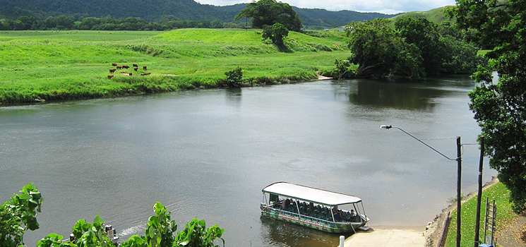 Daintree River