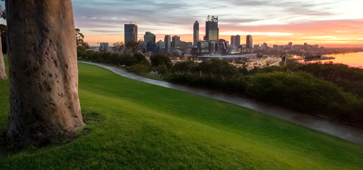 Perth - Australia, King's Park 